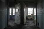 Forest Haven